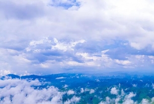 �V������ɫ