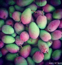 �υ^(q��)������V�������������������|(zh��)��С���������а�ɫ