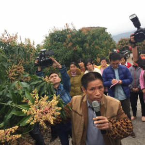 ��Óؚ����(ji��n)���V������ɫ���Óؚ·��66�q��â���������ġ��޹���ɽ־��