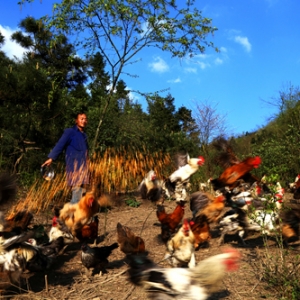 ��ɫ���I(y��)��벢�e���B(y��ng)ֳ�I(y��)����(j��)