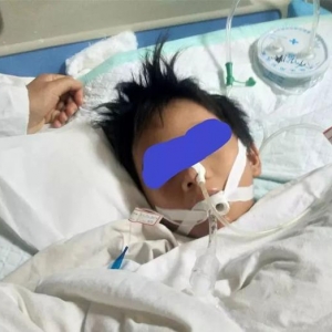 10�q�к����K�E���ֳ�ֲ���� ֻ�����3���׾�