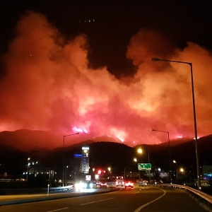 ȫ���M(j��n)��ɭ�ֻ��(z��i)�߰l(f��)��������ɽ����α��U(xi��n)��