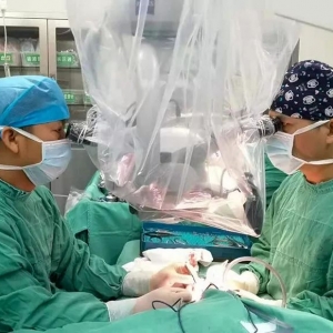 1�q�׃���֫��ɹ��ӻ�����ɫ���t(y��)Ժ������g��С��֫��ֲ���g(sh��)