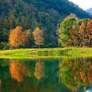 �쵽��ɫ�򿨼tɫ֮�ã�߀�܌����������M���۵�