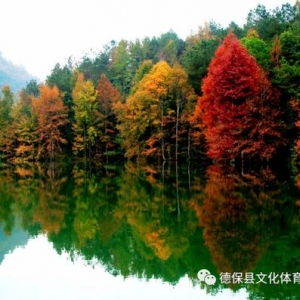 �p�t���T���R�^������2019��±��t���Ļ����ι�(ji��)��(l��i)��