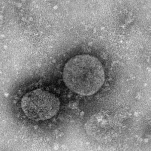 �¹ڲ�������25��(g��)��(gu��)�ң��������L(zh��ng)ɶ����