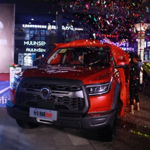 16.98�f�����L(zh��ng)����ԽҰƤ����ɫ�^(q��)����ʽ����