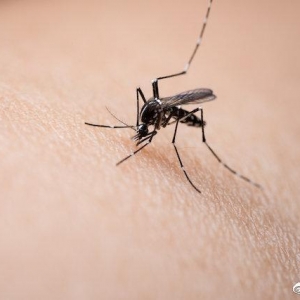 �о��״��C�������Ӳ��܂����¹ڲ���