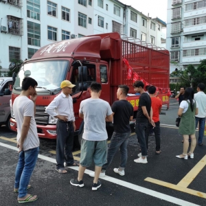 �V����ɫ-�ӳ؅^(q��)����r����܇"2020�����Ѳչ���"�A�M�Y(ji��)��