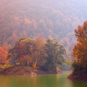 �V����ɫ������һ��(g��)�����~����(gu��)����һ���＾����ͯԒ