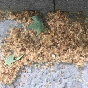 ���w������������ ���^����������ɶ����