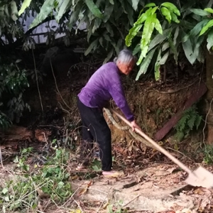 얹̇����l(w��i)�����гɹ������������t