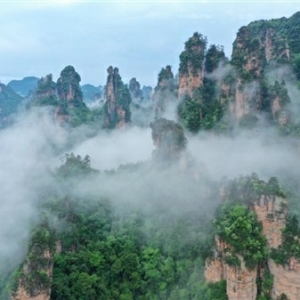 ��݆��������γɂ����p���ģ��ٷ����ѕ���Ҫ�폈�ҽ�������