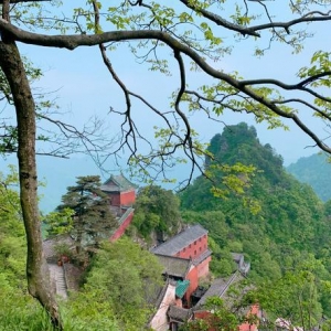 ��ӡ�n�C(j��)���䮔(d��ng)ɽ��Ʊ�r(ji��)235��ٍ80���|������(d��ng)��(d��ng)?sh��)ؽ?j��ng)��(j��)