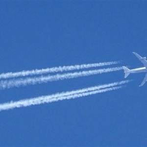 �ı������~�s �H��1С�r��